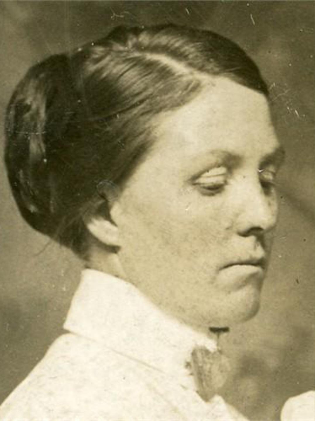 Mary Lucinda Stewart (1852 - 1916) Profile